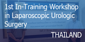 Workshop in Urology in Thailand with Click'a V